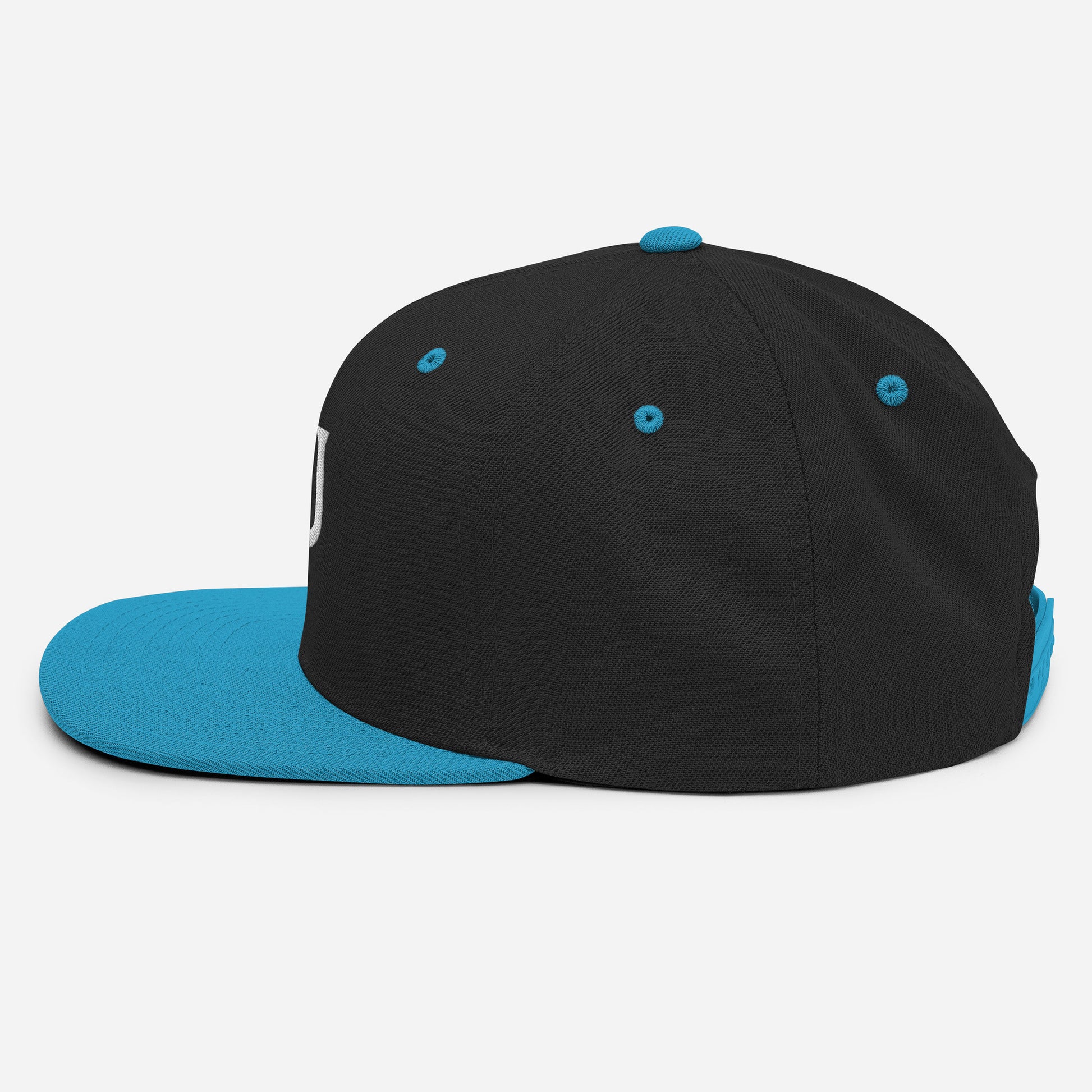 Snapback Cap 2 - Weave West