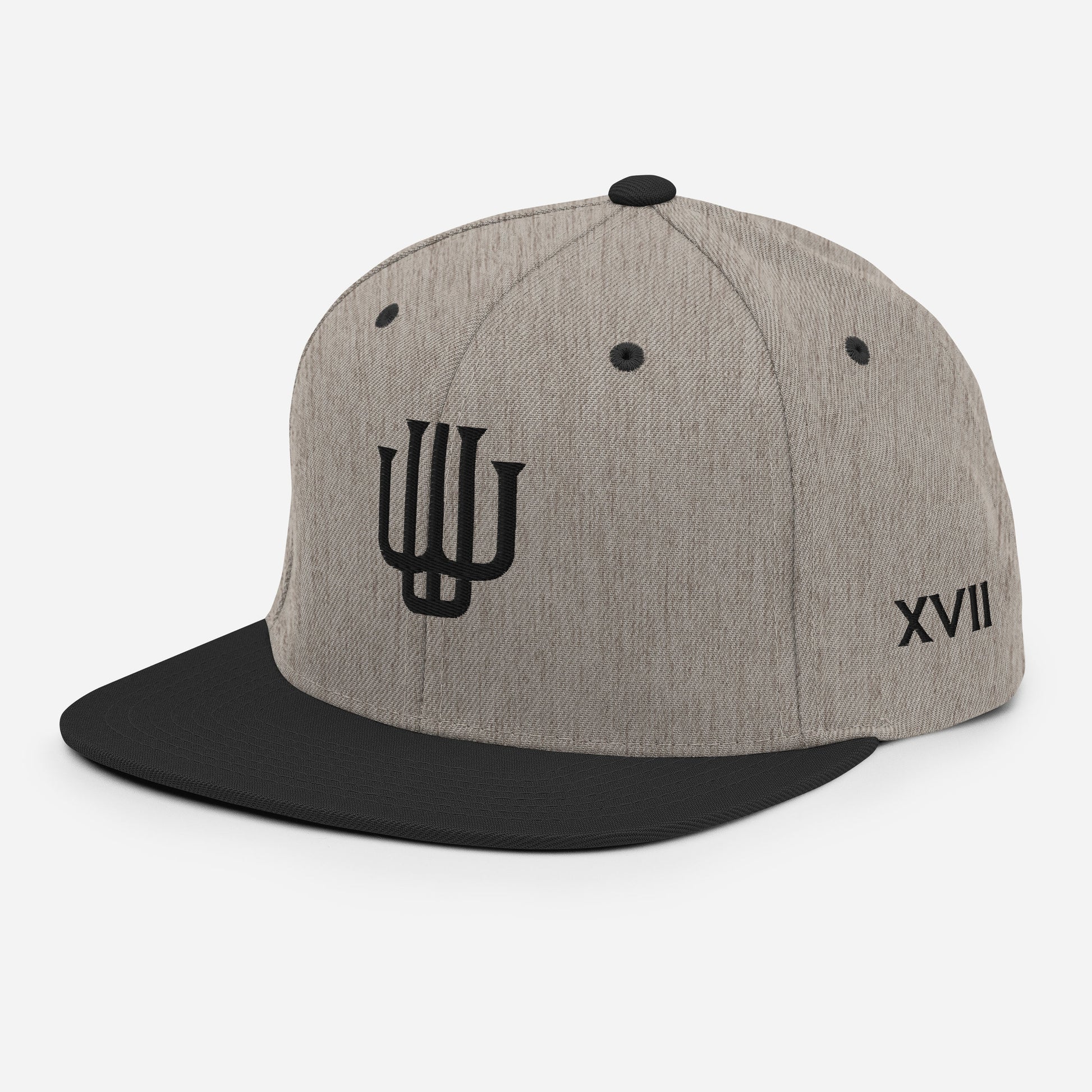 Snapback Cap 1 - Weave West