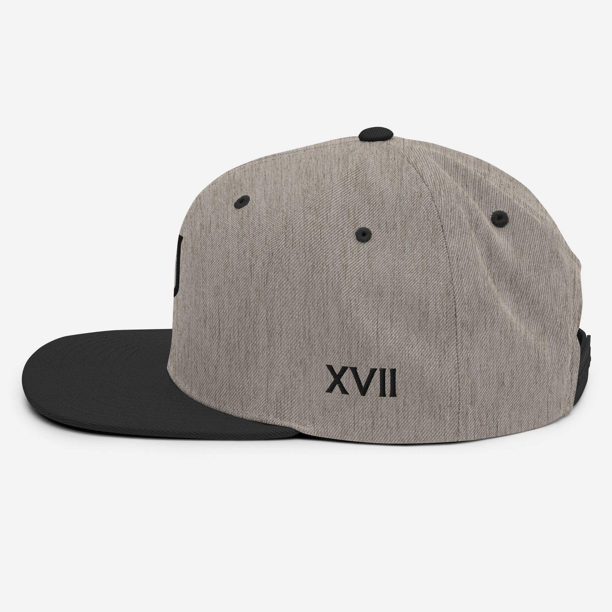 Snapback Cap 1 - Weave West