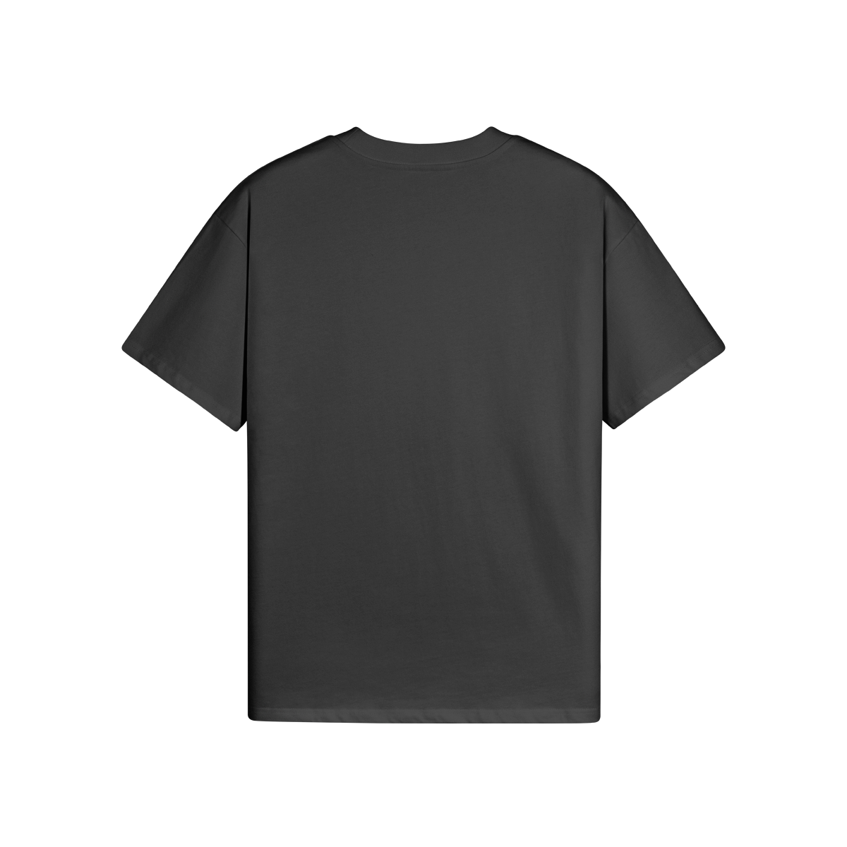 High Quality Cotton Oversized Loose-Fit Tee (Bunny Board) - Weave West