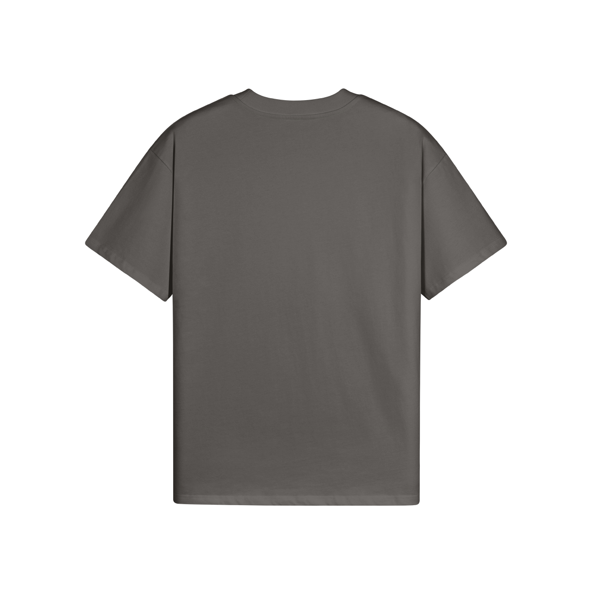 High Quality Cotton Oversized Loose-Fit Tee (Bunny Board) - Weave West